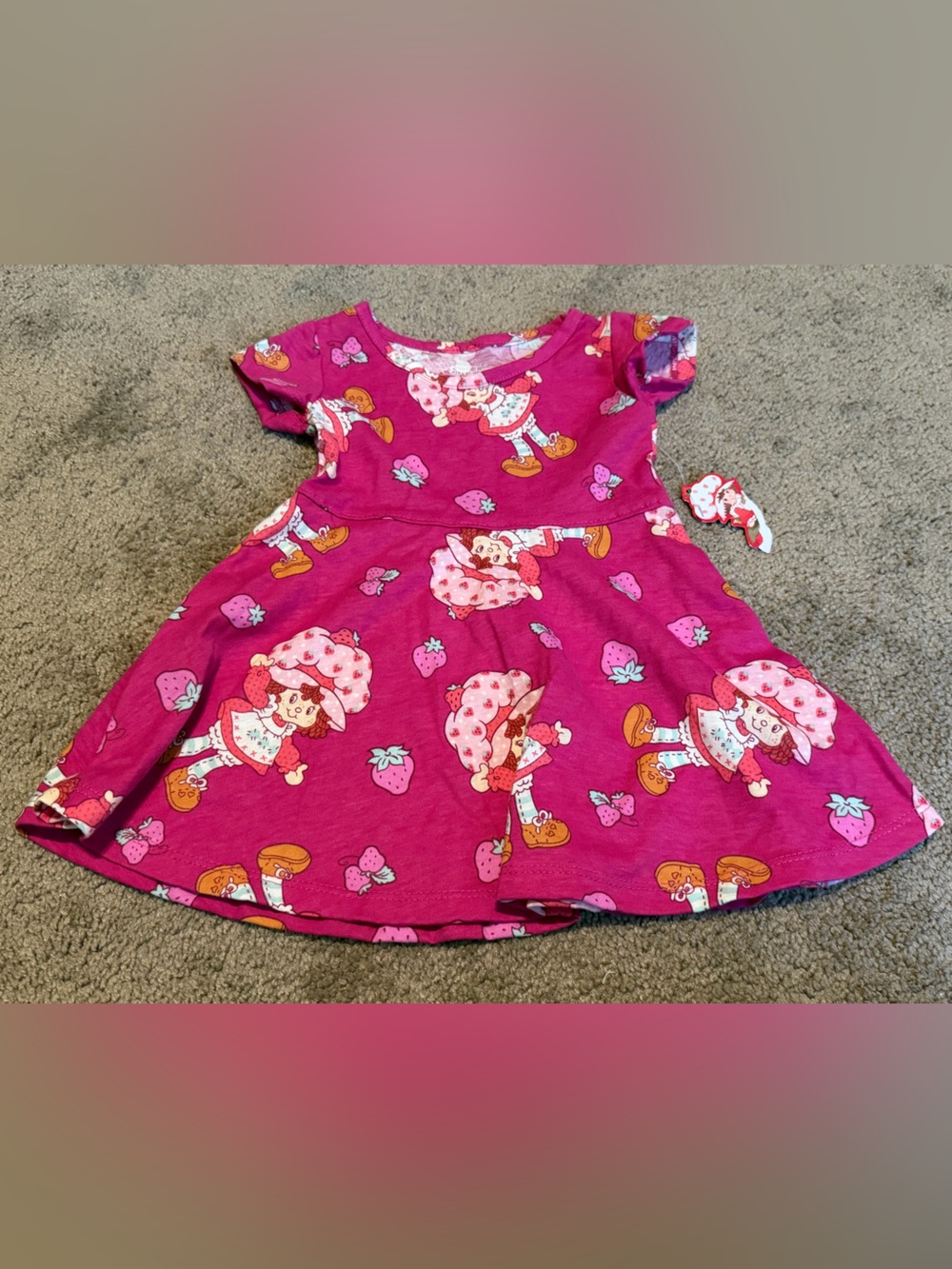 NWT Strawberry Shortcake Girl’s Size 12m Short Sleeve Skater Dress Hot Pink